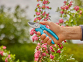 Gardena beskæresaks EasyCut